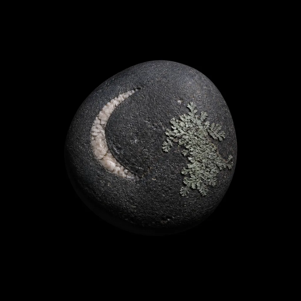 A dark basalt pebble carrying a pale quartz crescent and silver-green lichen.